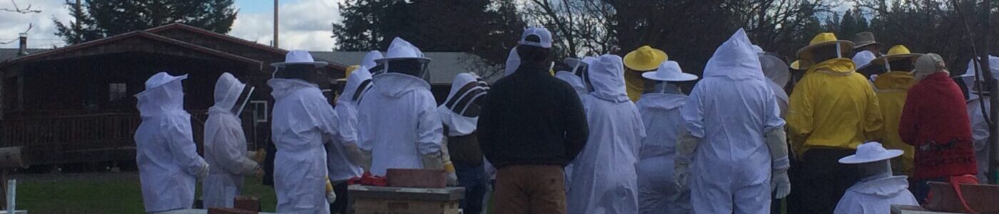 Spring 2026 Beginner Beekeeper Class - Image 2